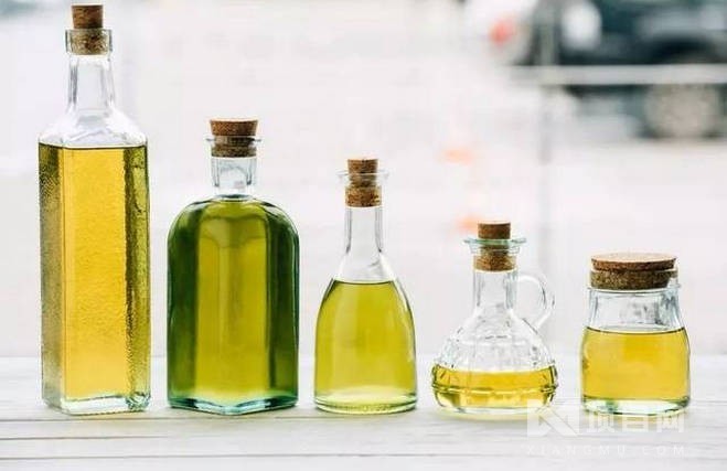 金山利多茶籽油 从深山油茶果到健康厨房的食用油新选择